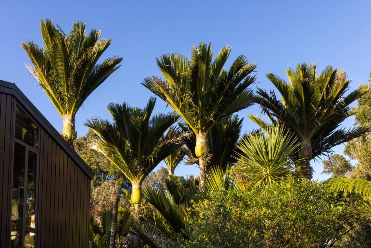Punakaiki Forest Retreat Kültér fotó