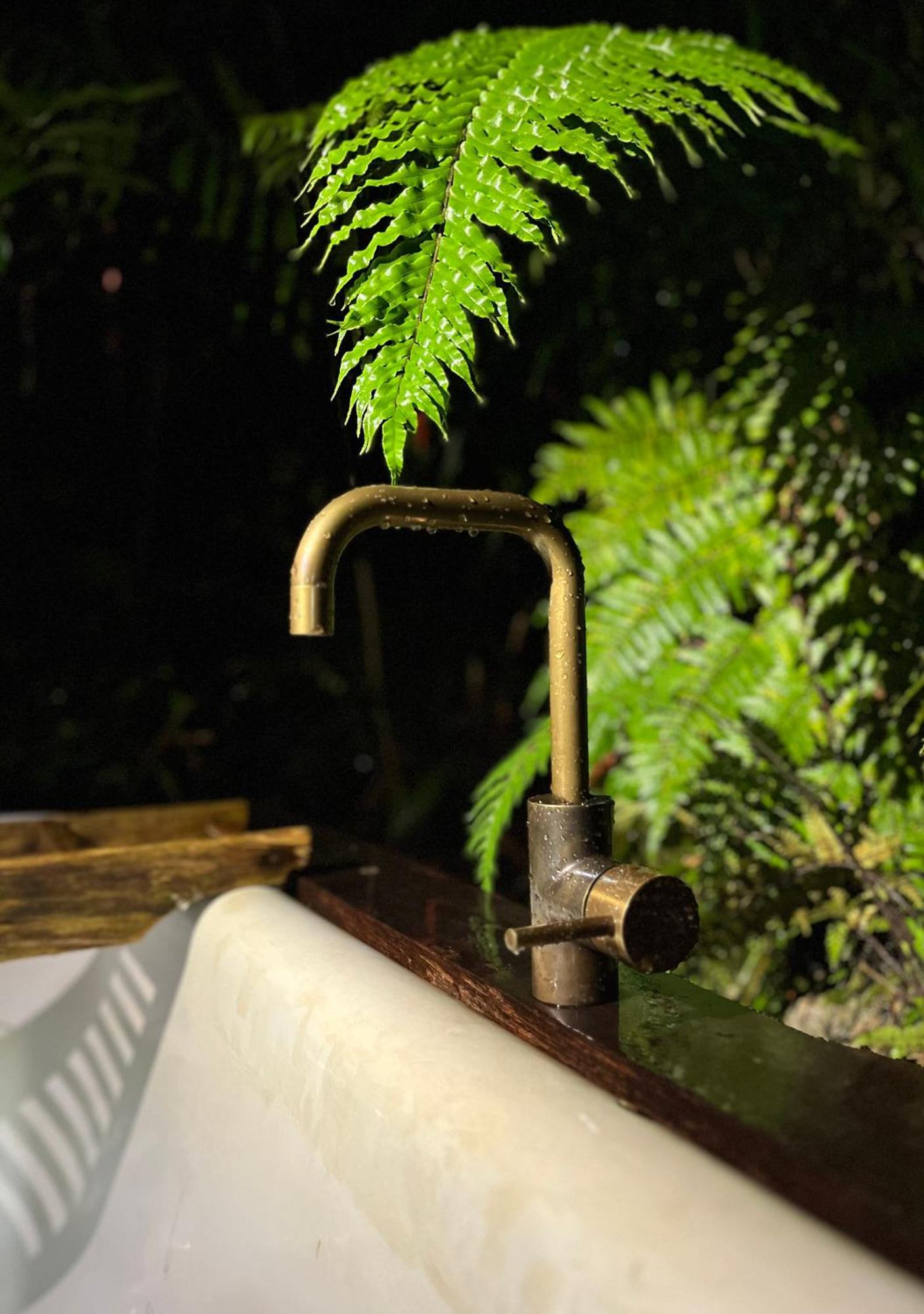 Punakaiki Forest Retreat Kültér fotó